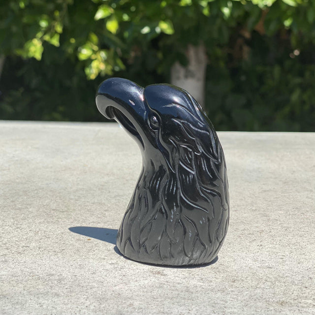 Natural Black Obsidian Hand Carved Eagle Head - .46 lbs (3 x 1.5 x 3.5 inches) - Magick Magick.com