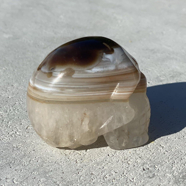 Natural Botswana Agate Hand Carved Small Skull - .18 lbs (2 x 1.5 x 1.5 inch) - Magick Magick.com