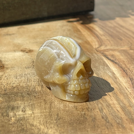 Natural Brown Agate Hand Carved Small Skull with Druzy - .10 lbs (1.5 x 1 x 1.5 inch) - Magick Magick.com