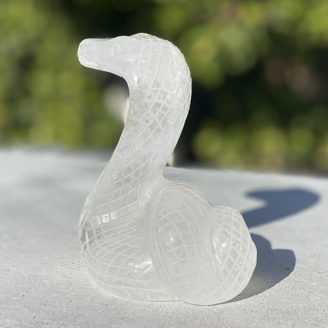Natural Clear Quartz Hand Carved Cobra Snake - 1.16 lbs (3.5 x 3 x 4.5 inch) - Magick Magick.com