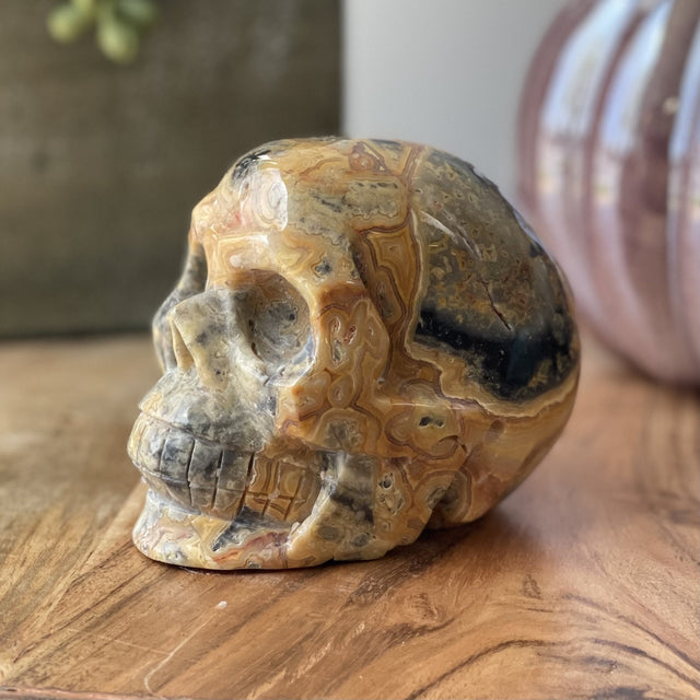 Natural Crazy Lace Agate Hand Carved Skull - 1.71 lbs (4 x 3 x 3.5 inch) - Magick Magick.com
