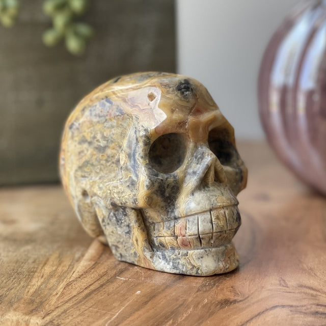 Natural Crazy Lace Agate Hand Carved Skull - 1.71 lbs (4 x 3 x 3.5 inch) - Magick Magick.com