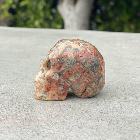 Natural Crazy Lace Agate Hand Carved Small Skull B - .18 lbs (2 x 1.25 x 1.5 inches) - Magick Magick.com