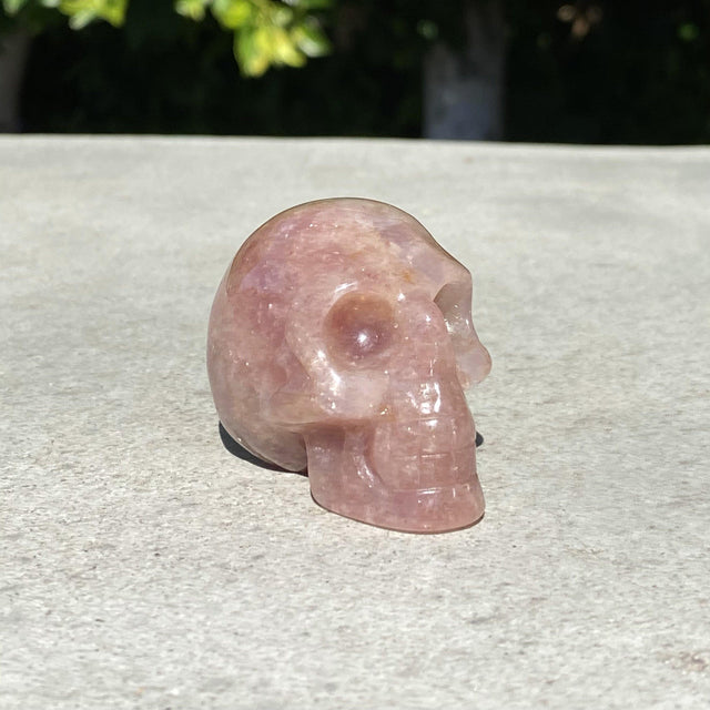 Natural Hematoid Hand Carved Small Skull - .16 lbs (2 x 1.25 x 1.5 inches) - Magick Magick.com