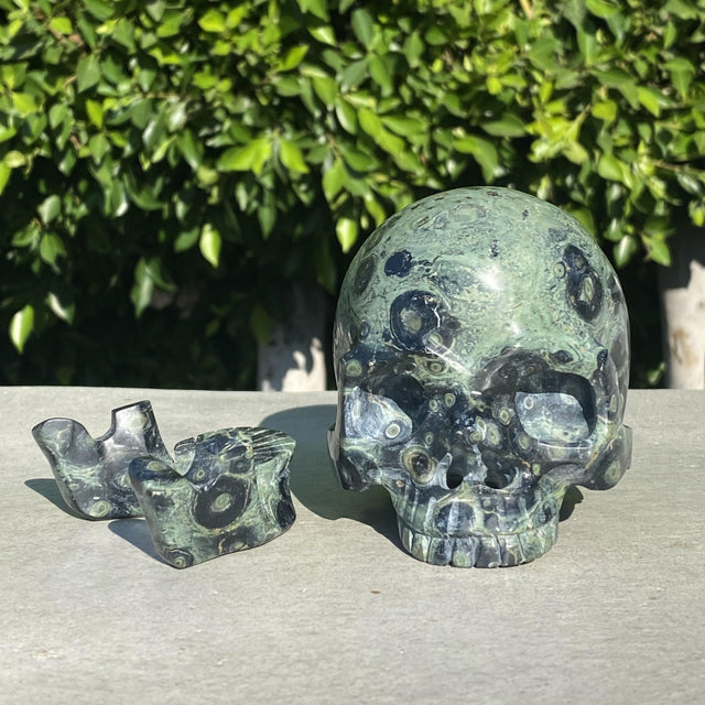 Natural Kambaba Jasper Hand Carved Skull with Detachable Jaw - 2.46 lbs (4.5 x 3.5 x 4 inch) - Magick Magick.com