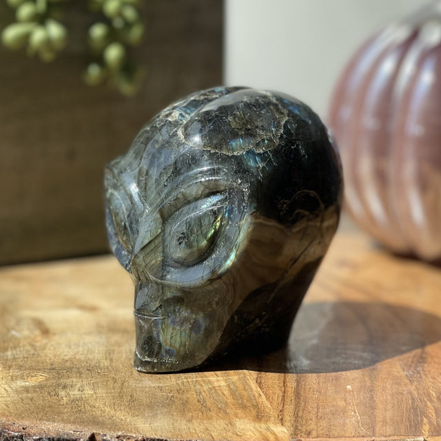 Natural Labradorite Hand Carved Alien Head - 2.20 lbs (3.5 x 2.5 x 3.75 inch) - Magick Magick.com