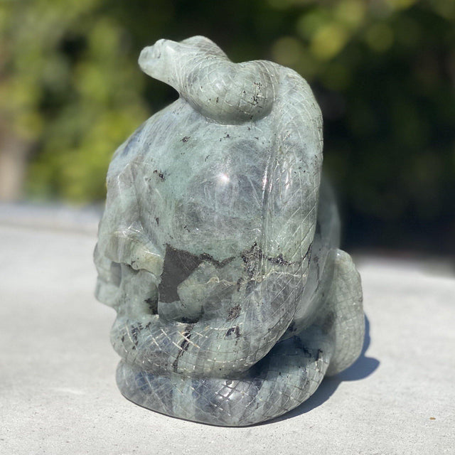 Natural Labradorite Hand Carved Skull with Snake - 4.54 lbs (5 x 3.5 x 6 inch) - Magick Magick.com