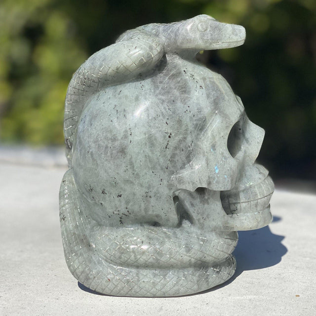 Natural Labradorite Hand Carved Skull with Snake - 4.54 lbs (5 x 3.5 x 6 inch) - Magick Magick.com