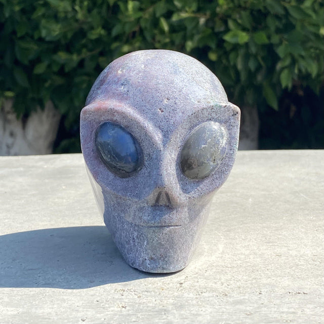 Natural Ocean Agate Hand Carved Alien Head with Labradorite Eyes - 2.28 lbs (4.5 x 3 x 4 inches) - Magick Magick.com