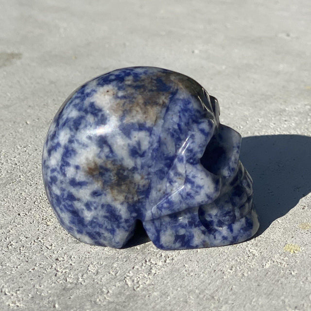 Natural Sodalite Hand Carved Small Skull - .18 lbs (2 x 1.5 x 1.5 inch) - Magick Magick.com