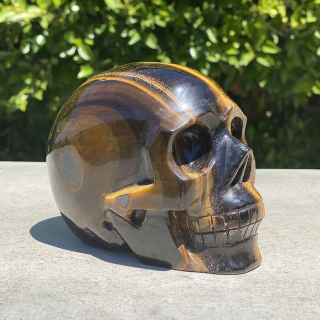 Natural Tiger's Eye Hand Carved Skull - 4.30 lbs (5.5 x 3.5 x 4.5 inches) - Magick Magick.com