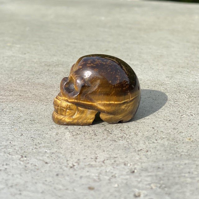 Natural Tiger's Eye Hand Carved Small Skull - .08 lbs (1.5 x 1 x 1 inches) - Magick Magick.com