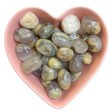 Opalized Petrified Wood Tumbled Stone Natural Gemstone - One Stone - Magick Magick.com