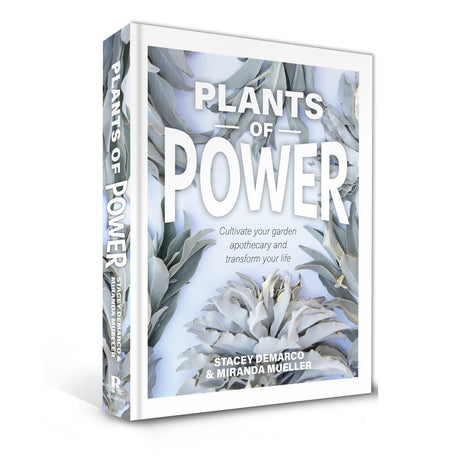 Plants of Power (Hardcover) by Stacey Demarco, Miranda Mueller - Magick Magick.com