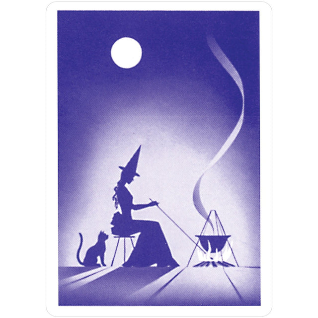 Reading Fortune Telling Cards Deck & Book Set by Fabio Vinago - Magick Magick.com
