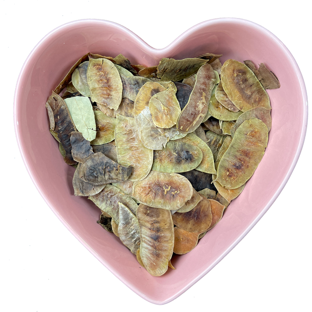 Senna Pods Whole 1 oz (Cassia Angustifolia) - Magick Magick.com