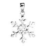 Snowflake Stainless Steel Pendant - Magick Magick.com