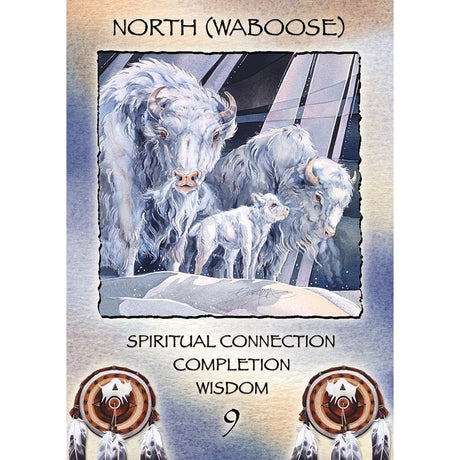 Spirit of The Wheel Meditation Deck by Linda Ewashina, Jody Bergsma - Magick Magick.com