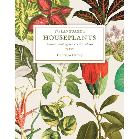 The Language of Houseplants by Cheralyn Darcey - Magick Magick.com