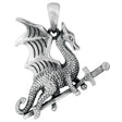 Warrior Dragon Pendant - Magick Magick.com