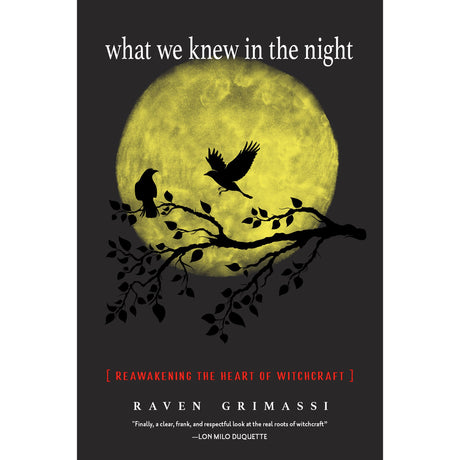 What We Knew In The Night by Raven Grimassi - Magick Magick.com