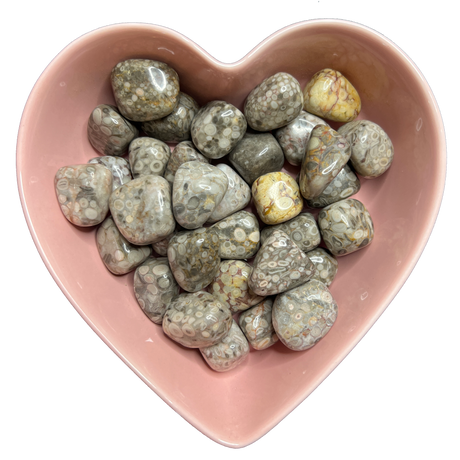 White Leopard Jasper Tumbled Stone Natural Gemstone - One Stone - Magick Magick.com