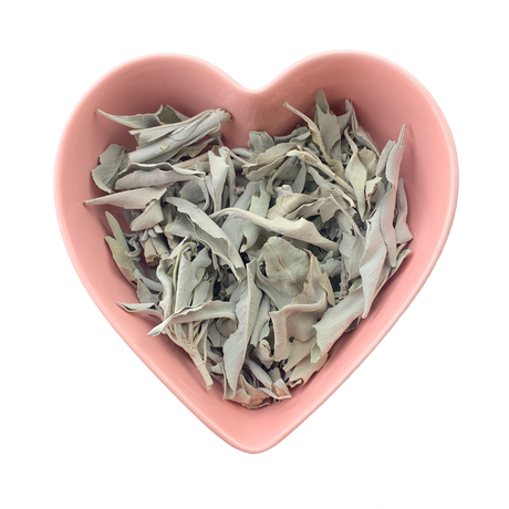 White Sage Leaf Whole 1 lb (Salvia apiana) - Magick Magick.com