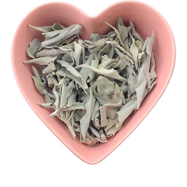 White Sage Leaf Whole 1 oz (Salvia apiana) - Magick Magick.com