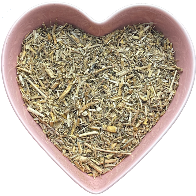 Witches Grass Cut 1 oz (Agropyron Repens) - Magick Magick.com