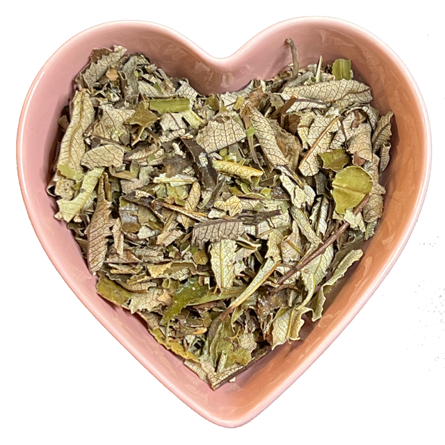 Yerba Santa Leaf Whole 1 oz (Eriodictyon californicum) - Magick Magick.com