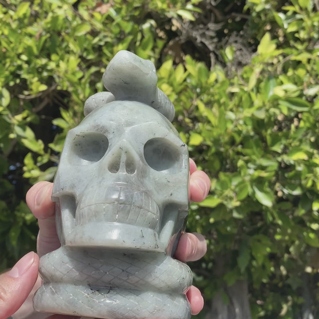 Natural Labradorite Hand Carved Skull with Snake - 4.54 lbs (5 x 3.5 x 6 inch)